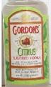 Gordons Vodka Citrus